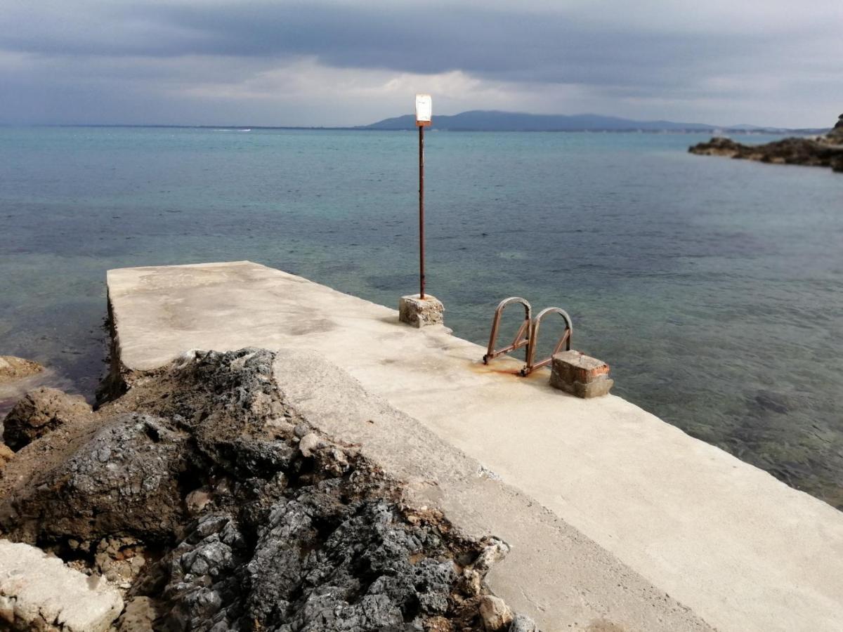 Villa Flora Argentario Porto Santo Stefano  Εξωτερικό φωτογραφία