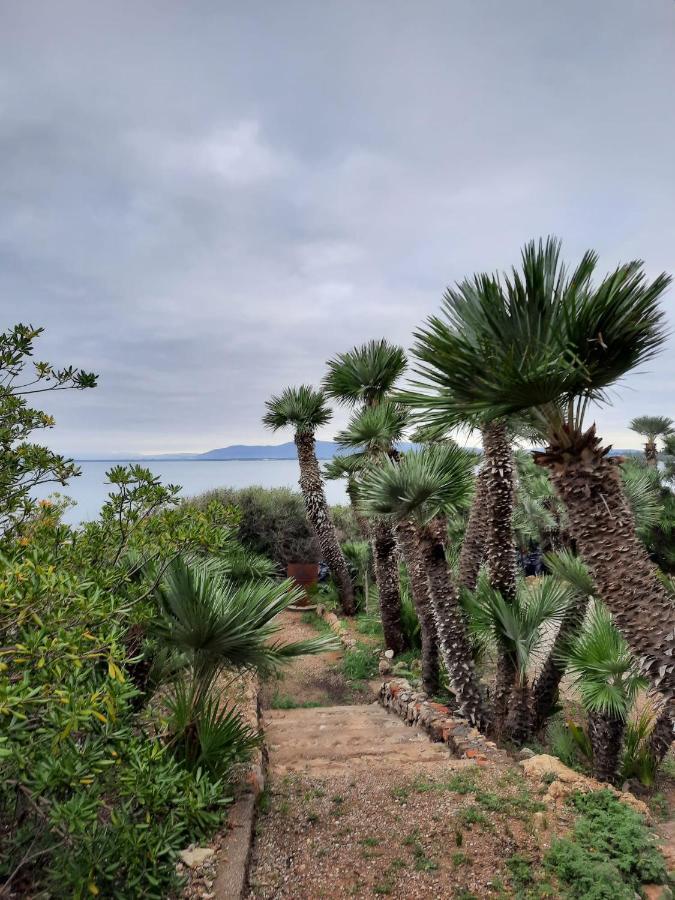 Villa Flora Argentario Porto Santo Stefano  Εξωτερικό φωτογραφία